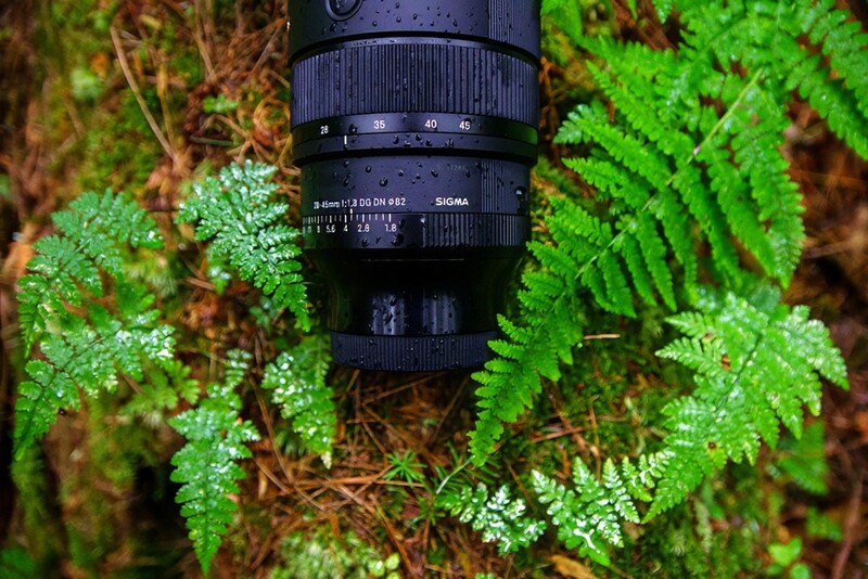 Sigma telephoto lens surrounded by vibrant green moss and ferns in natural forest setting.