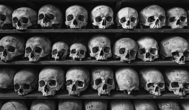 Multiple human skulls arranged on shelves in rows, photographed in black and white.