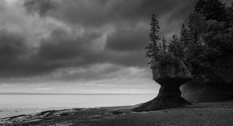 Rocky coastal outcrop with coniferous forest under dramatic storm clouds.