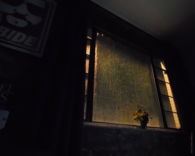 Backlit window with textured glass and warm golden light streaming through, with a small potted plant silhouetted on the windowsill.