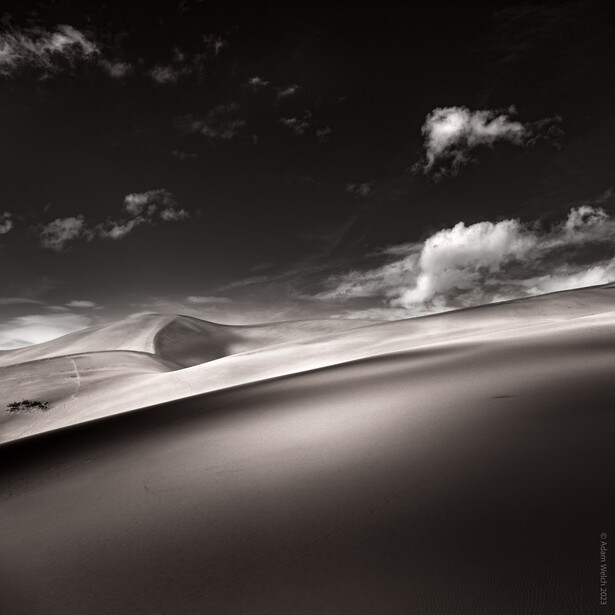 Stark black and white desert landscape with a solitary rock formation casting a long shadow across rippling sand dunes.