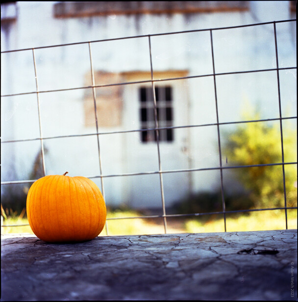 Orange pumpkin in sharp focus on ground in front of wire fence, with blurred autumn house and trees behind.