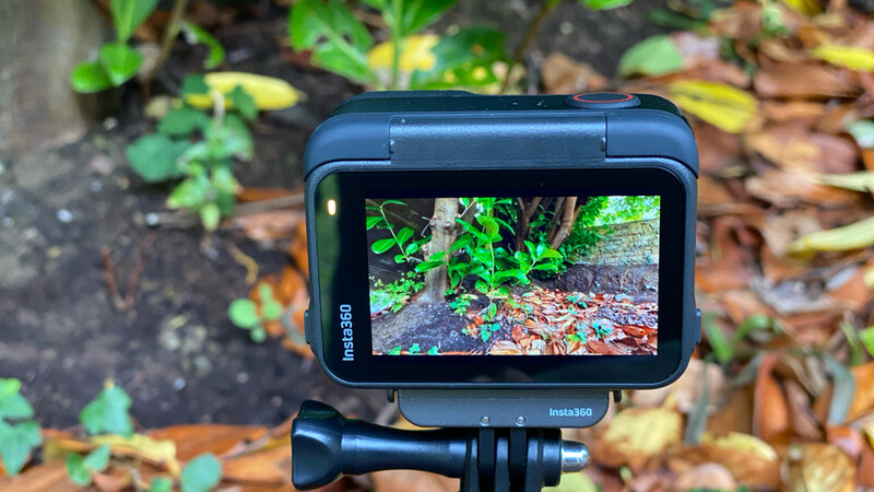 Action camera mounted on tripod displaying live preview of garden foliage and tree bark in LCD screen.