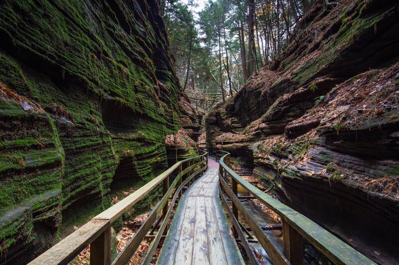 Wooden boardwalk descending through a moss-covered forest canyon with tall cliff walls.