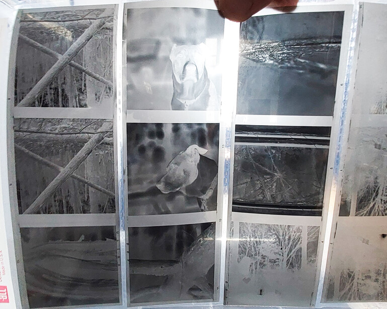 Contact sheet of black and white photographs pinned to a wall, showing multiple film frames with atmospheric imagery.