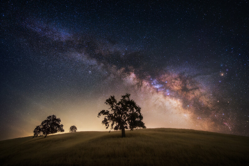 Silhouetted trees on a rolling hill beneath the Milky Way galaxy stretching across a starry night sky.