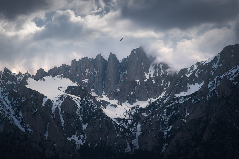 Snow-covered jagged mountain peaks beneath dramatic storm clouds with a soaring bird in the sky.