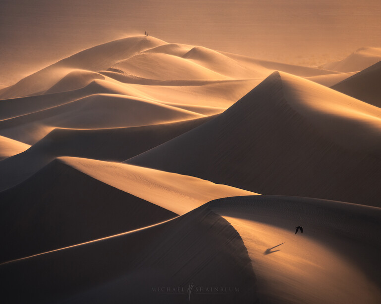 Golden sand dunes at sunset with dramatic shadows and a lone figure in the distance.