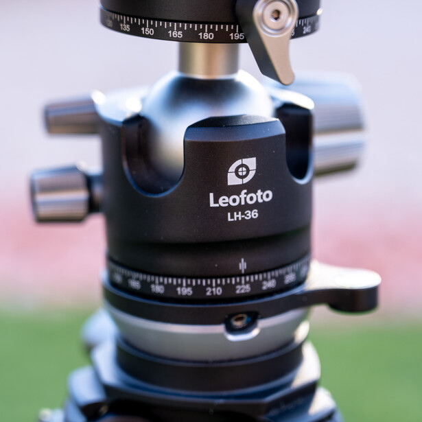 Leofoto LH-38 ball head mounted on tripod with graduated rotation scales and adjustment knobs.