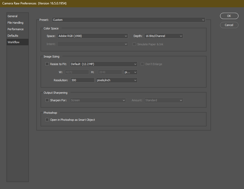 Screenshot of Camera Raw Performance Deletion dialog box with color space and image sizing settings.