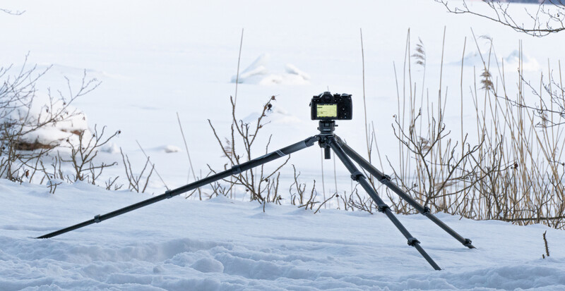 Smartphone mounted on tripod with extended legs in snowy landscape with dried vegetation.