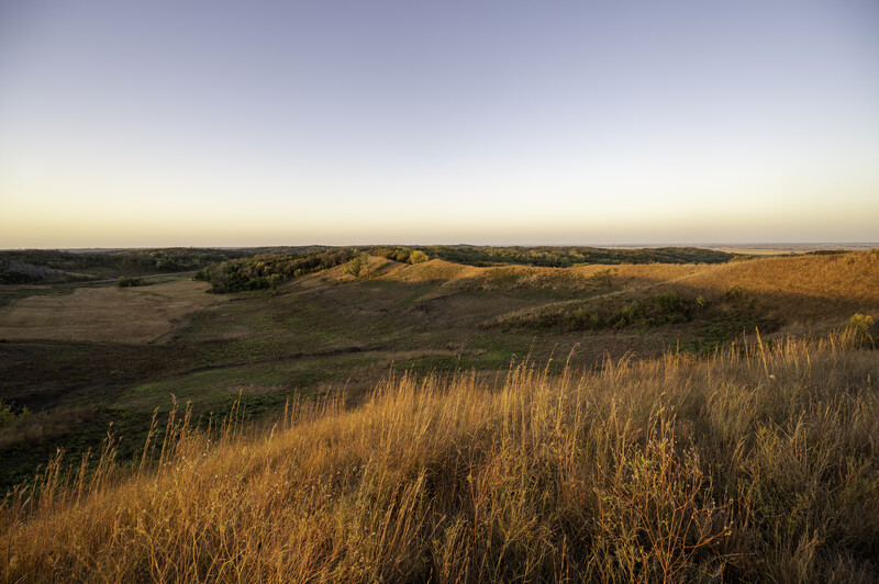 Golden grassland rolling across hills at sunset with distant forested ridges under clear sky.