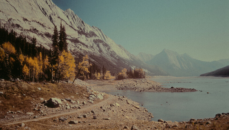 Mountain lake surrounded by snow-capped peaks and golden larch trees along a rocky shoreline.