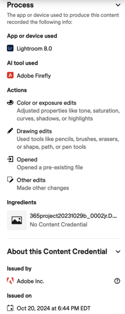 Screenshot of Adobe Lightroom editing interface showing process metadata and content credential information.