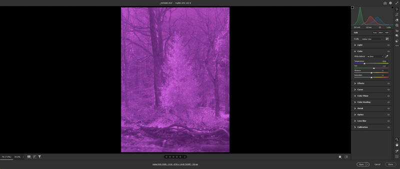 Screenshot of photo editing software displaying a magenta-toned forest scene with adjustment panels visible on the right side.