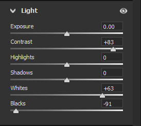 Screenshot of Light adjustment panel showing exposure, contrast, highlights, shadows, whites, and blacks sliders.
