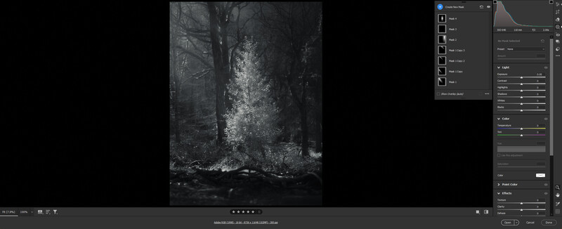 Screenshot of photo editing software showing a moody forest scene with a luminous tree trunk.