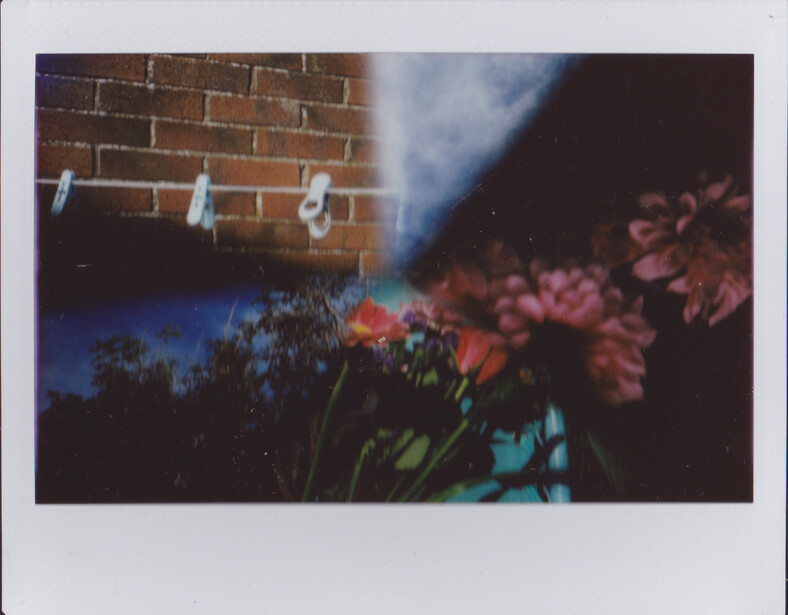 Instant film photograph showing vibrant pink flowers against a brick wall with clothesline and blue sky.