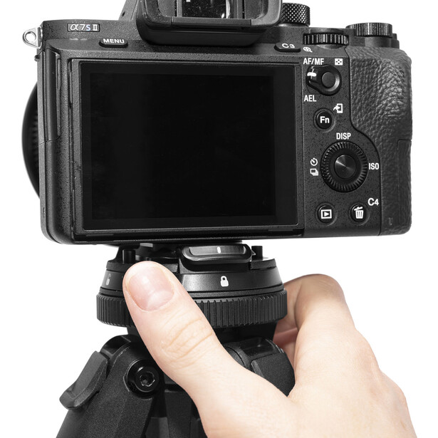 Mirrorless camera mounted on tripod head with hand adjusting ball mount.
