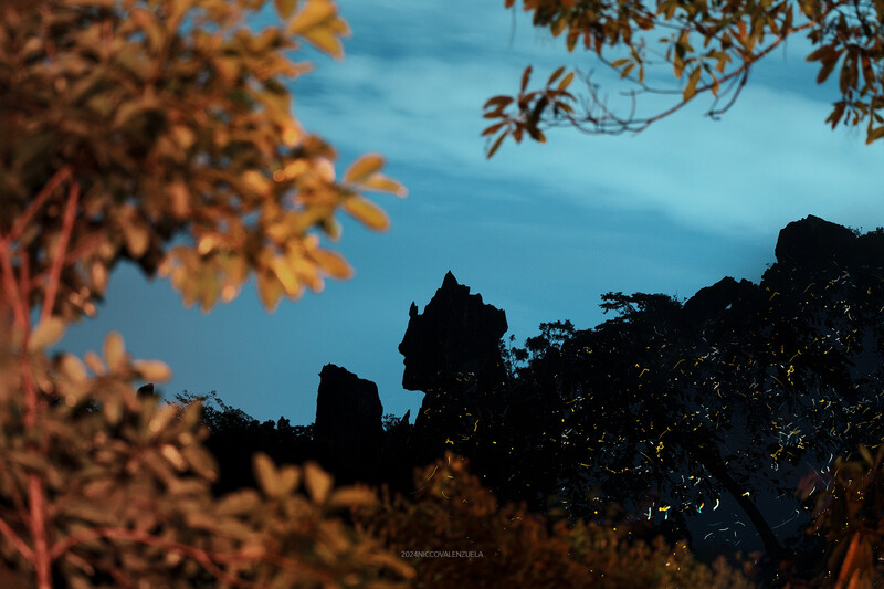 Silhouetted rocky formations against a blue twilight sky framed by golden-orange foliage.