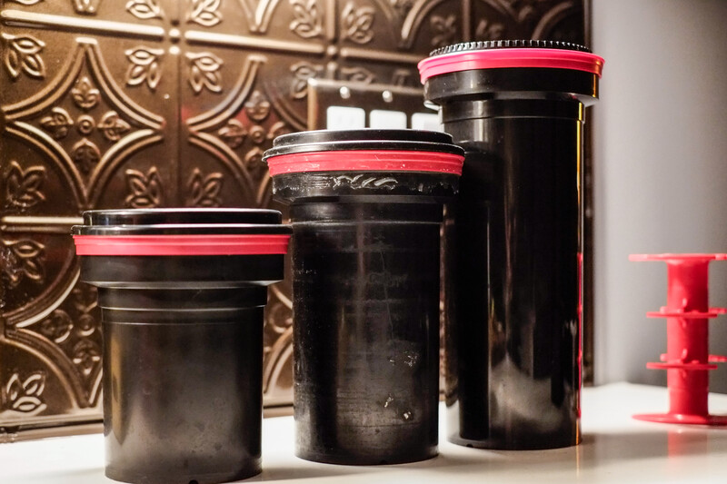 Three black cylindrical film canisters with red lids arranged by size next to decorative gold embossed panel and red object.