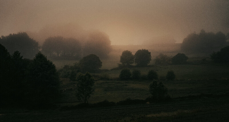 Misty rural landscape with scattered trees silhouetted against a golden-hued sky at dawn or dusk.