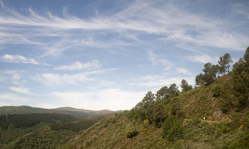 Forested hillside with layered mountain ridges under partly cloudy sky.