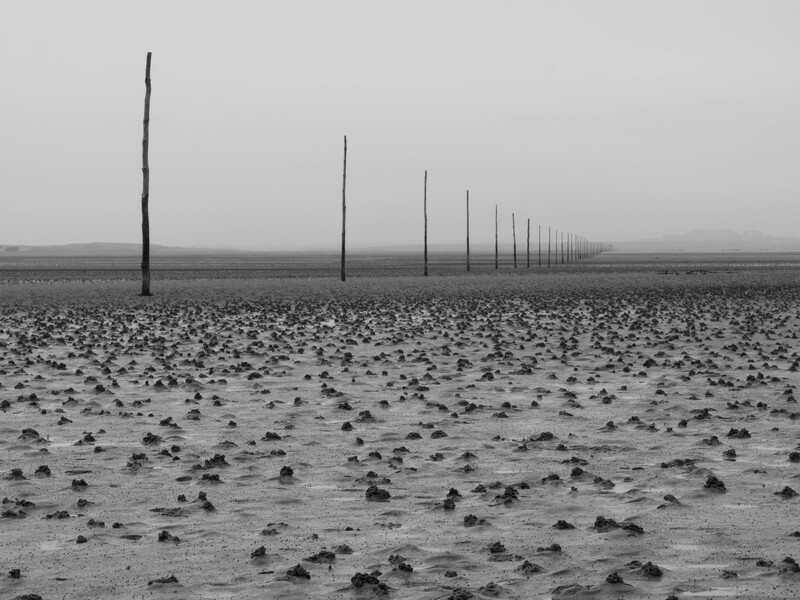 Receding line of wooden posts stretching across a flat, barren mudflat under overcast sky.