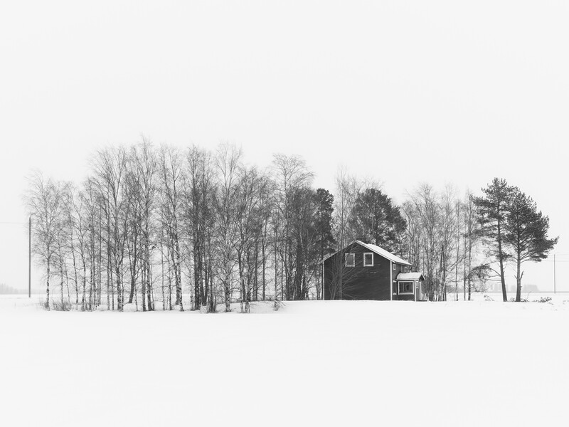 Solitary farmhouse surrounded by bare trees in a snow-covered landscape under overcast sky.