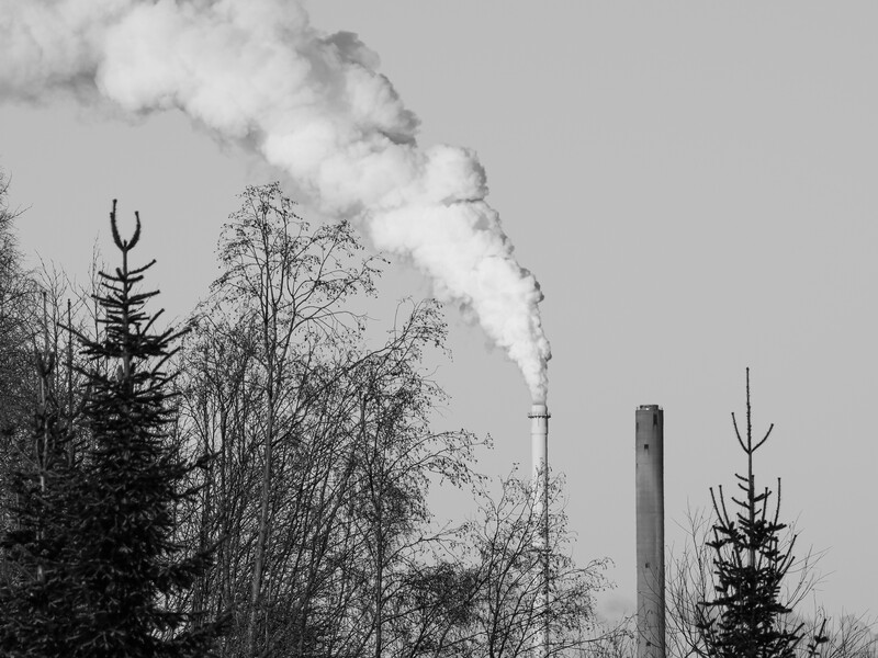 Industrial smokestack emitting thick white smoke above coniferous trees in a winter landscape.