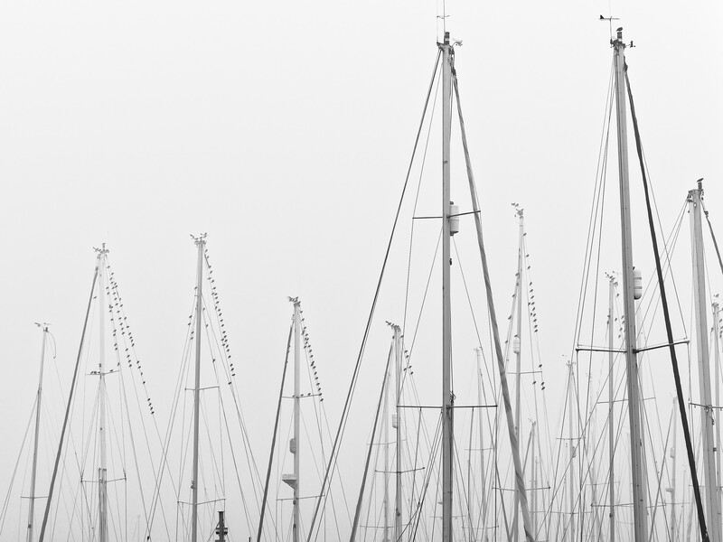 Forest of sailboat masts and rigging photographed from below in monochromatic tones.