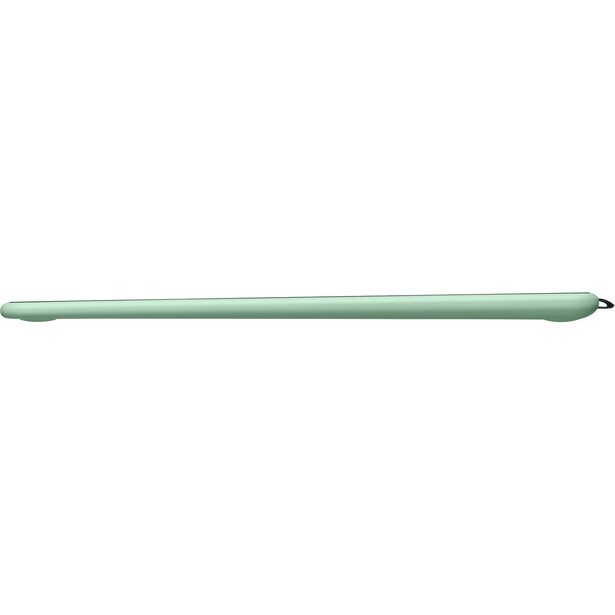 Stylus pen with sage green barrel and black tip against white background.
