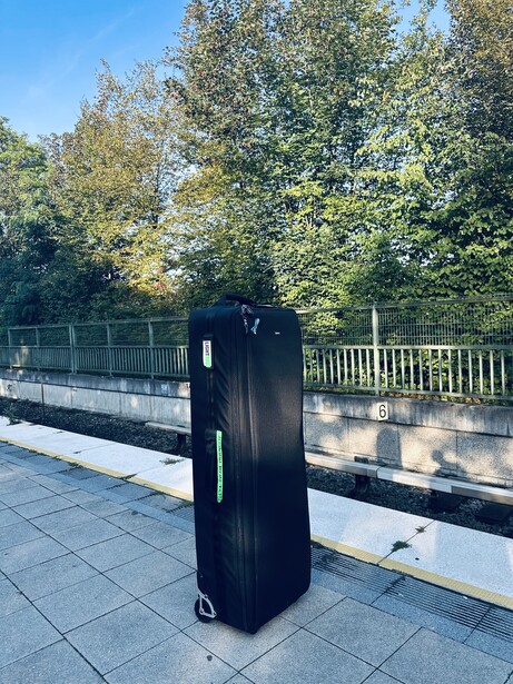 Black rolling suitcase standing upright on a tiled waterfront promenade with white railings and trees behind.