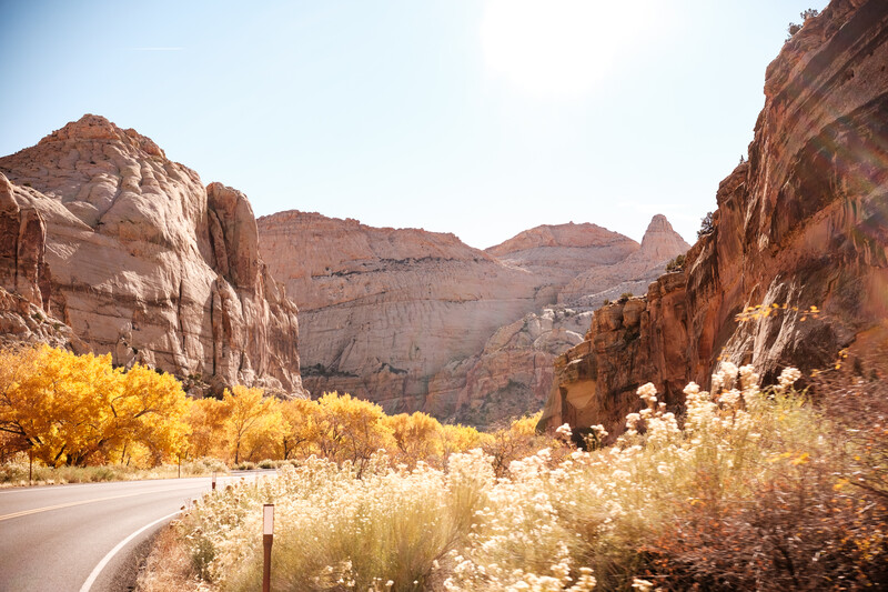 Desert canyon landscape with golden shrubland, red rock formations, and winding road.