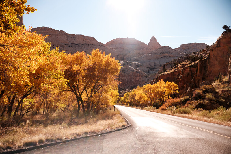 Desert highway curving through golden cottonwood trees with layered rock formations and mountains in background.