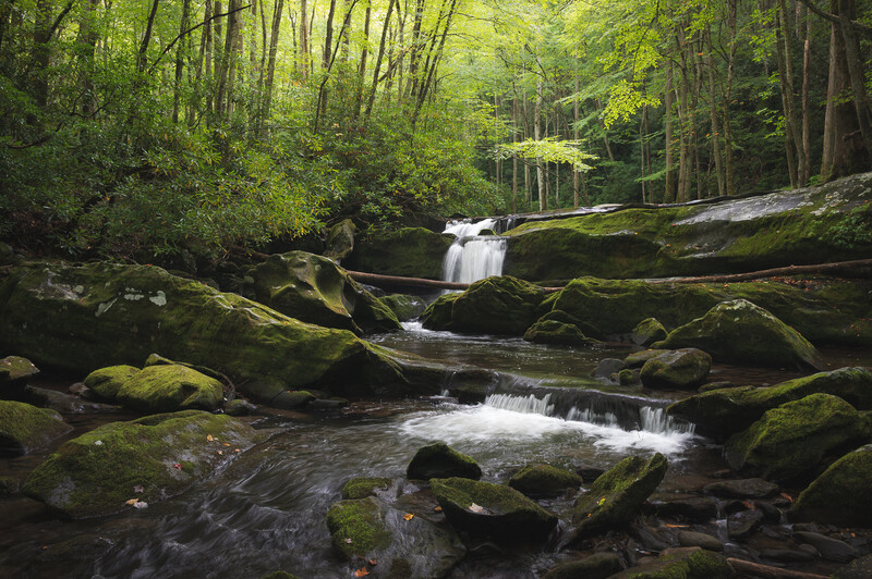 Mountain Stream in the Great Smoky Mountains