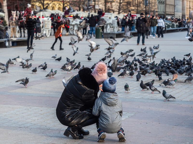 Adult crouching beside toddler in public plaza surrounded by pigeons and crowds.