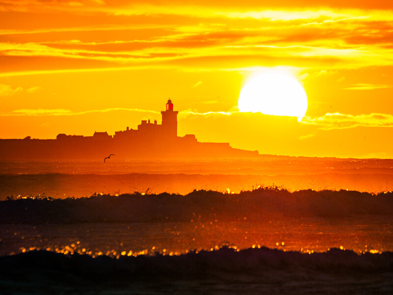 Silhouetted cityscape with tower against massive golden sunset sun on horizon.