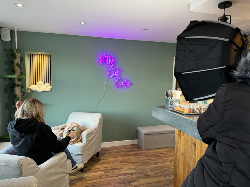 Behind-the-scenes studio shot with photographer operating camera on tripod while subject sits with dog on chair against sage green wall with purple neon sign.