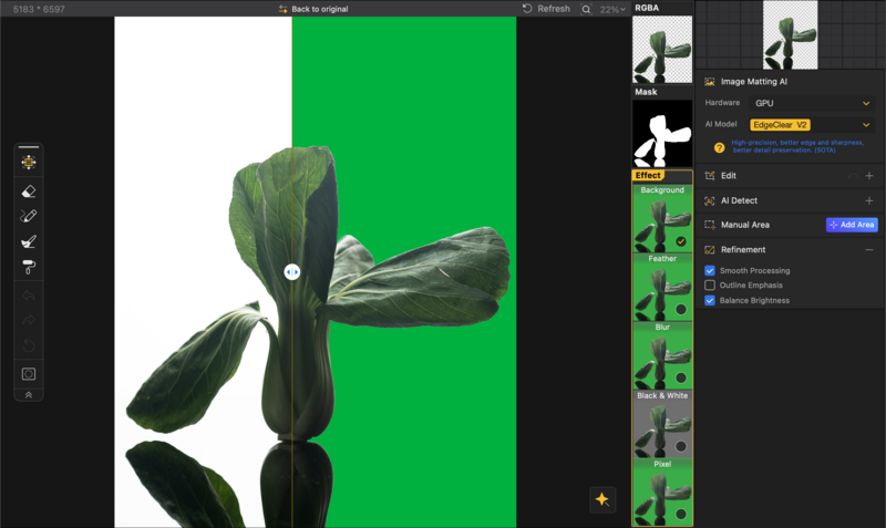 Screenshot of photo editing software showing plant leaf masking and background removal techniques.