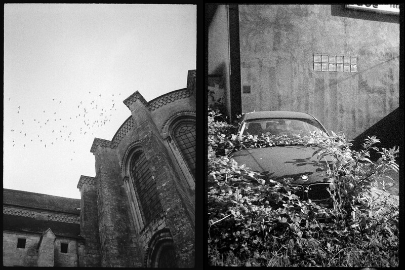 Two frames: a church with birds, and a car buried by foliage.