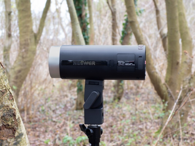A monolight flash head mounted on a stand positioned in front of bare tree trunks in a woodland setting.