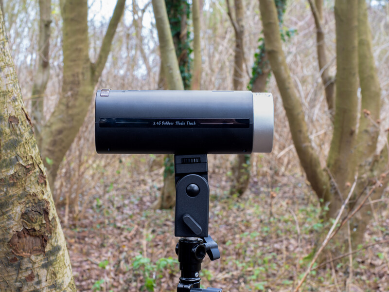 Telephoto lens mounted on tripod in a forest with bare trees in background.