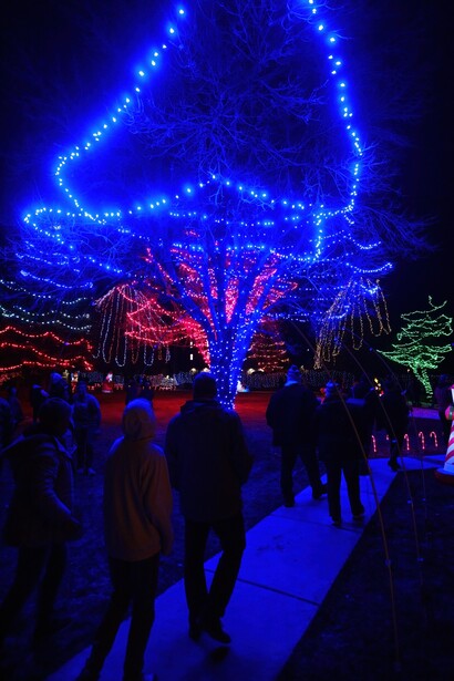 Crowds of people walking through an outdoor light display featuring blue illuminated trees and structures with red accent lighting.