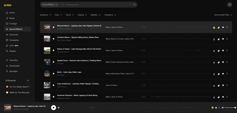 Screenshot of a music library interface displaying a list of ambient and nature sound recordings with playback controls and metadata tags.