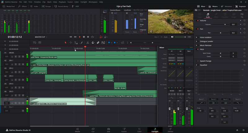Screenshot of DaVinci Resolve video editing interface with green timeline tracks and footage preview.