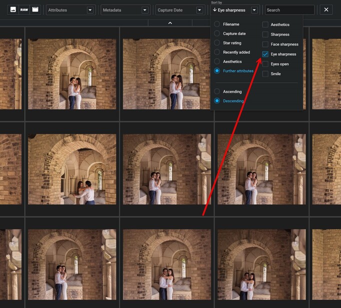 Attributes for sorting photos in the Excire photo-management program