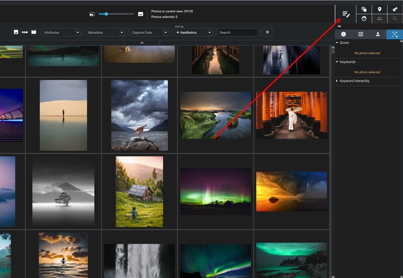 Excire Foto 2025 prompt-search tool