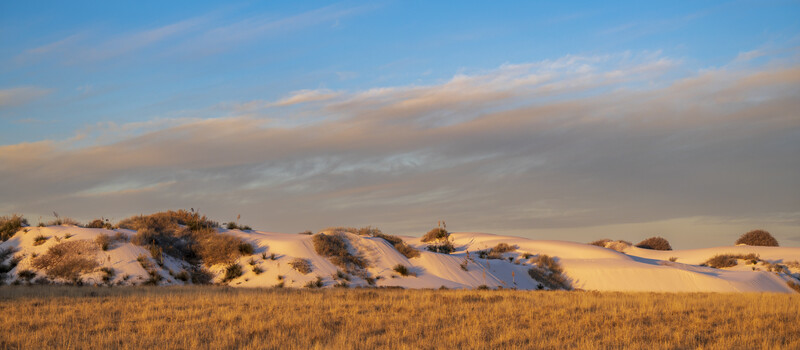 Snow-covered rolling hills with golden dried grass and scattered shrubs under a clear sky at sunset.