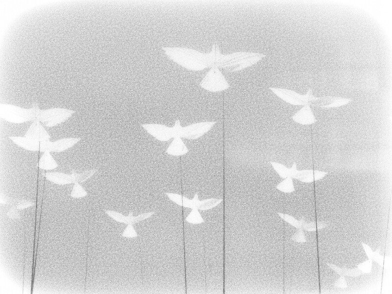 Multiple white birds suspended against a grainy sky in a minimalist composition.